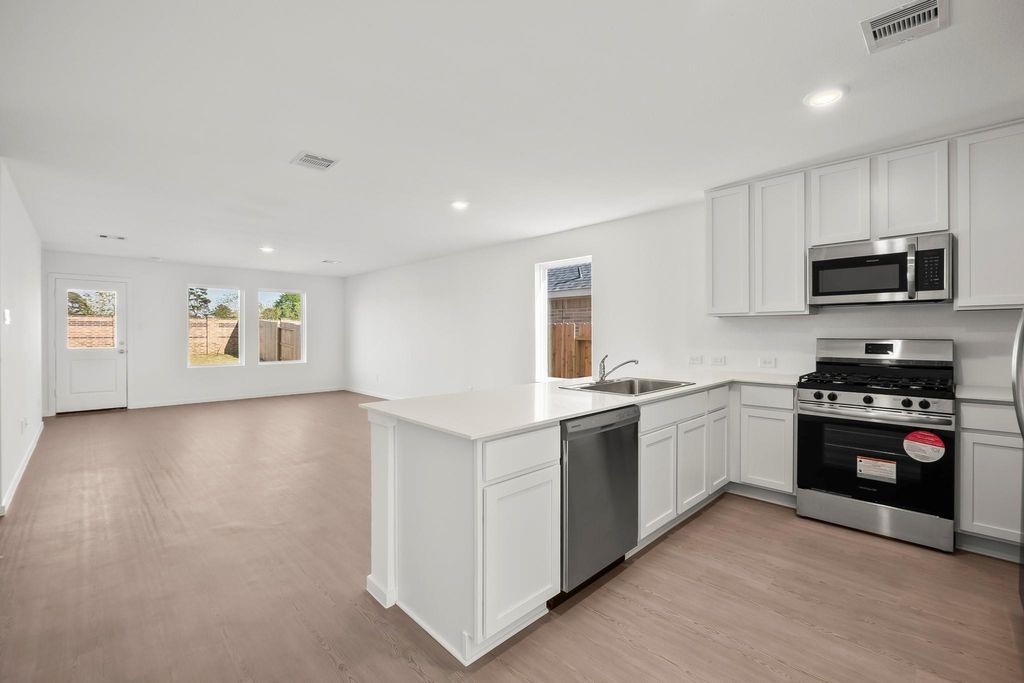 Photo of 16106 Domestic Dove Way, Hockley, TX 77447 (MLS # 72081292)