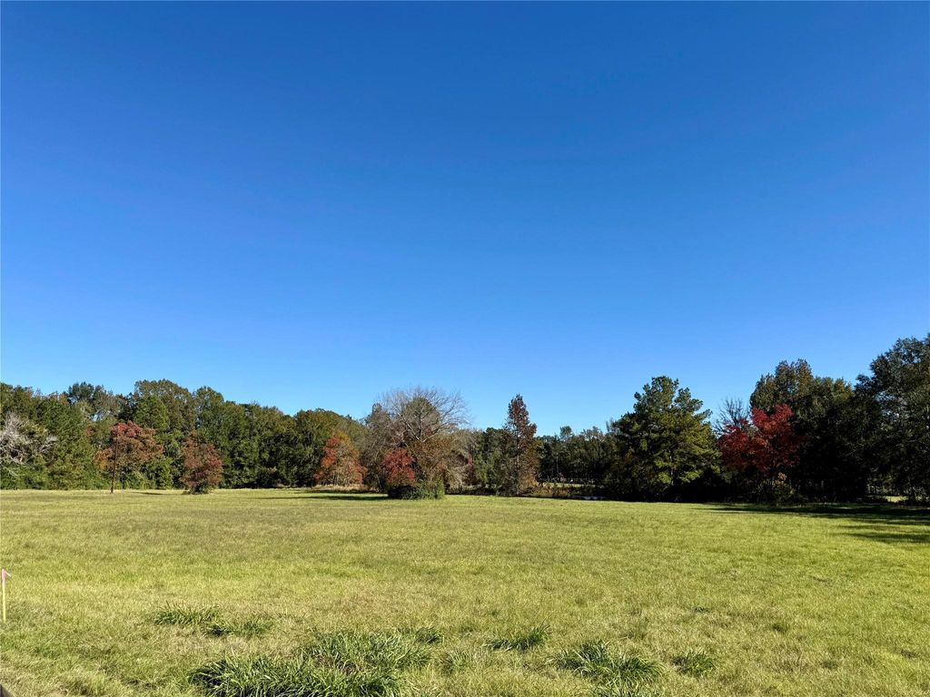 Photo of 225 State Highway Loop 116, Livingston, TX 77351 (MLS # 79626239)