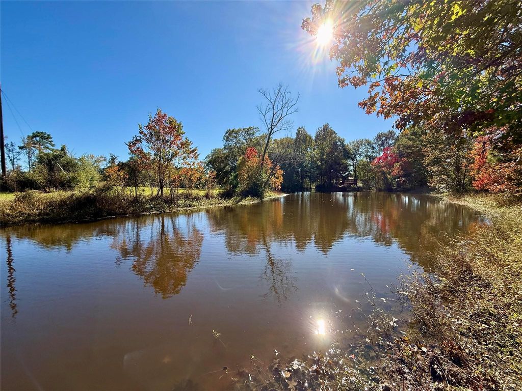 Photo of 225 State Highway Loop 116, Livingston, TX 77351 (MLS # 79626239)