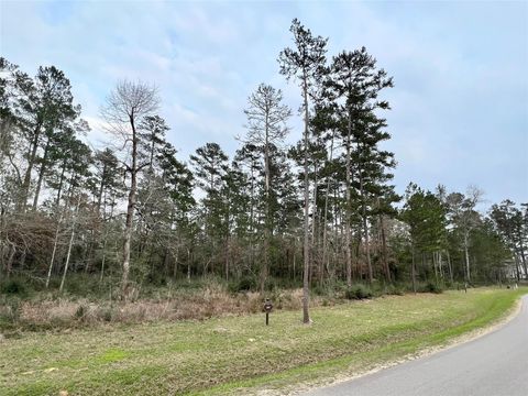 Photo of 6 Lily Bean Road, Montgomery, TX 77316 (MLS # 45818848)