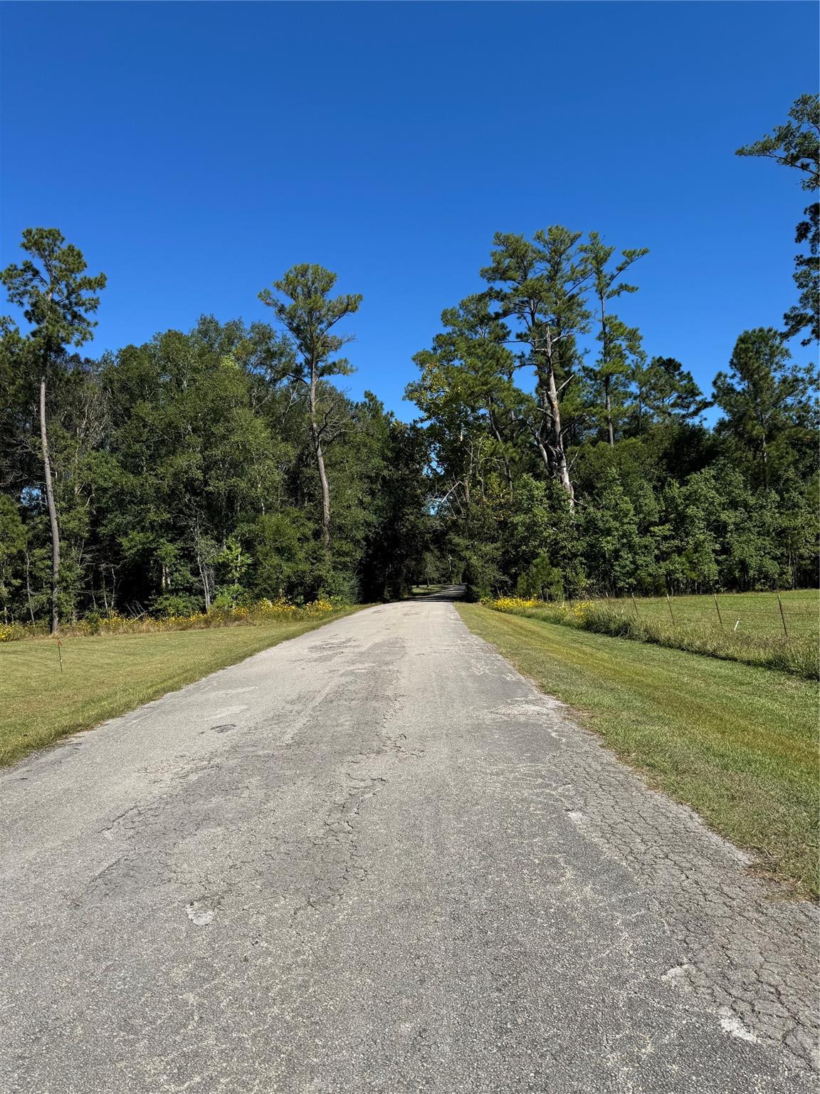 1995 Pan Am Road