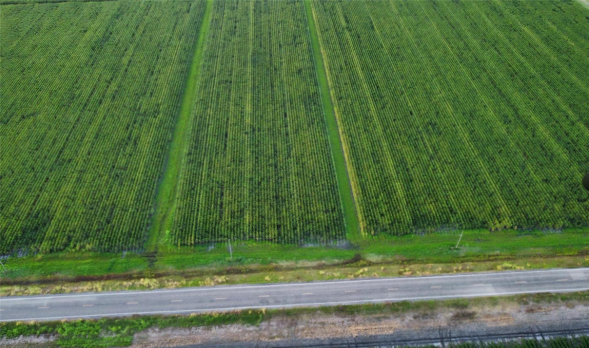 0 Fm 1164 Road