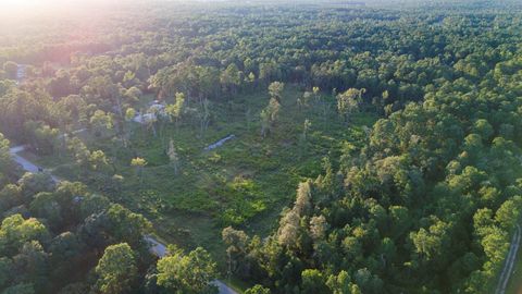 Photo of 24350 Weeren Road, Montgomery, TX 77316 (MLS # 54970152)