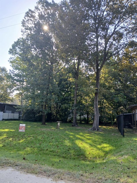 Vacant Land For Sale - T B D Meridian<br/> Livingston, TX 77351