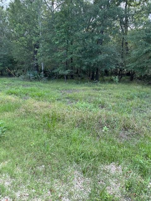 TBD Walker Dr