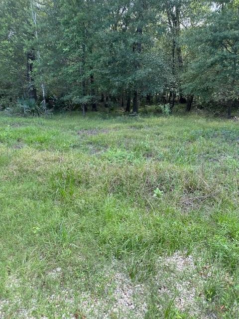 TBD Walker Dr