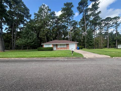Photo of 204 Skyview Drive, Livingston, TX 77351 (MLS # 76832981)