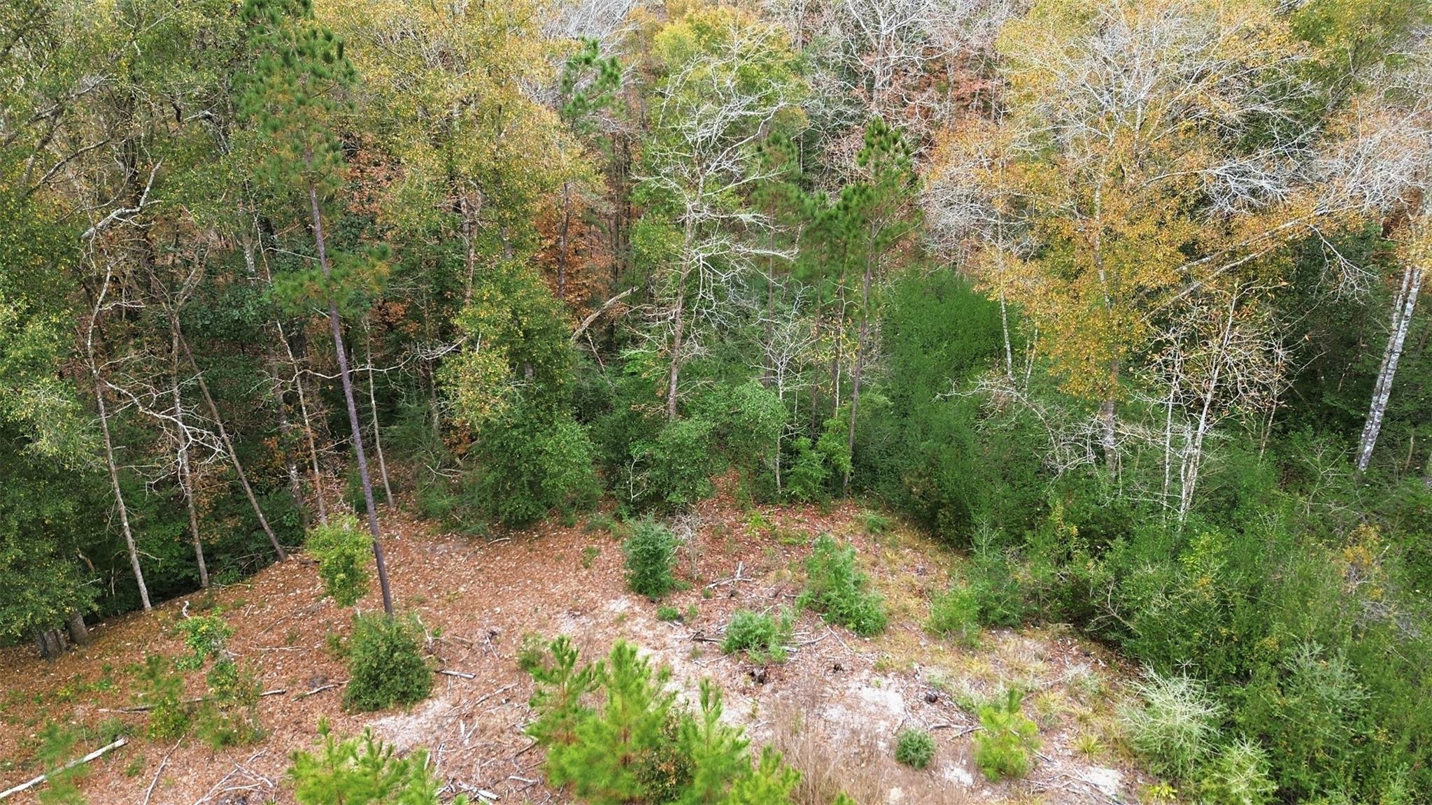 TBD Lady Luck Pid 246444 Lane