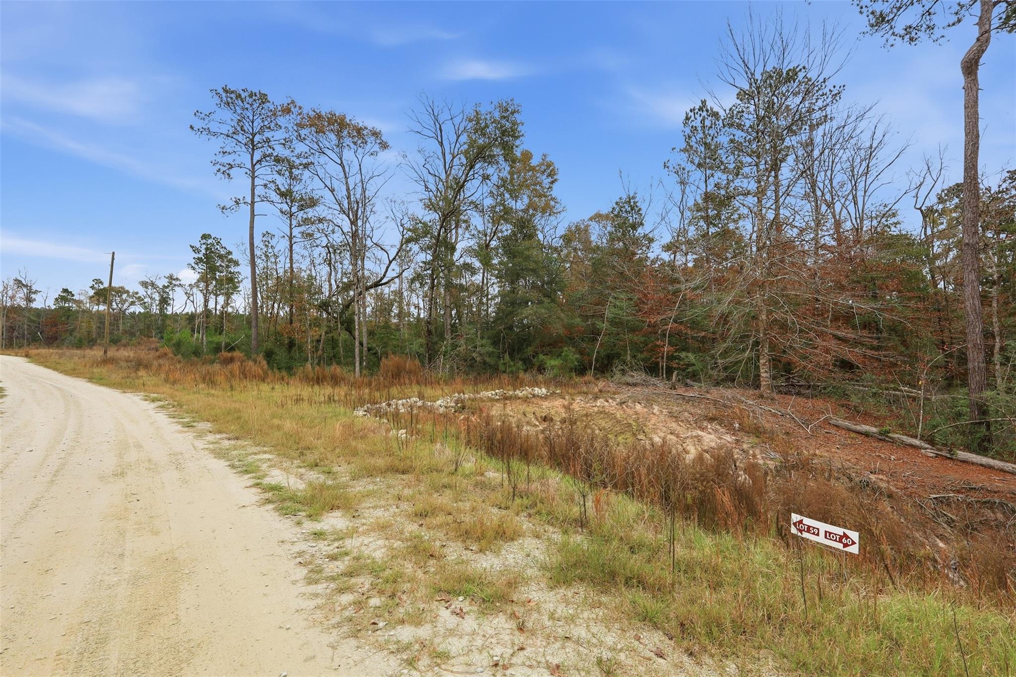 TBD Lady Luck Pid 246444 Lane