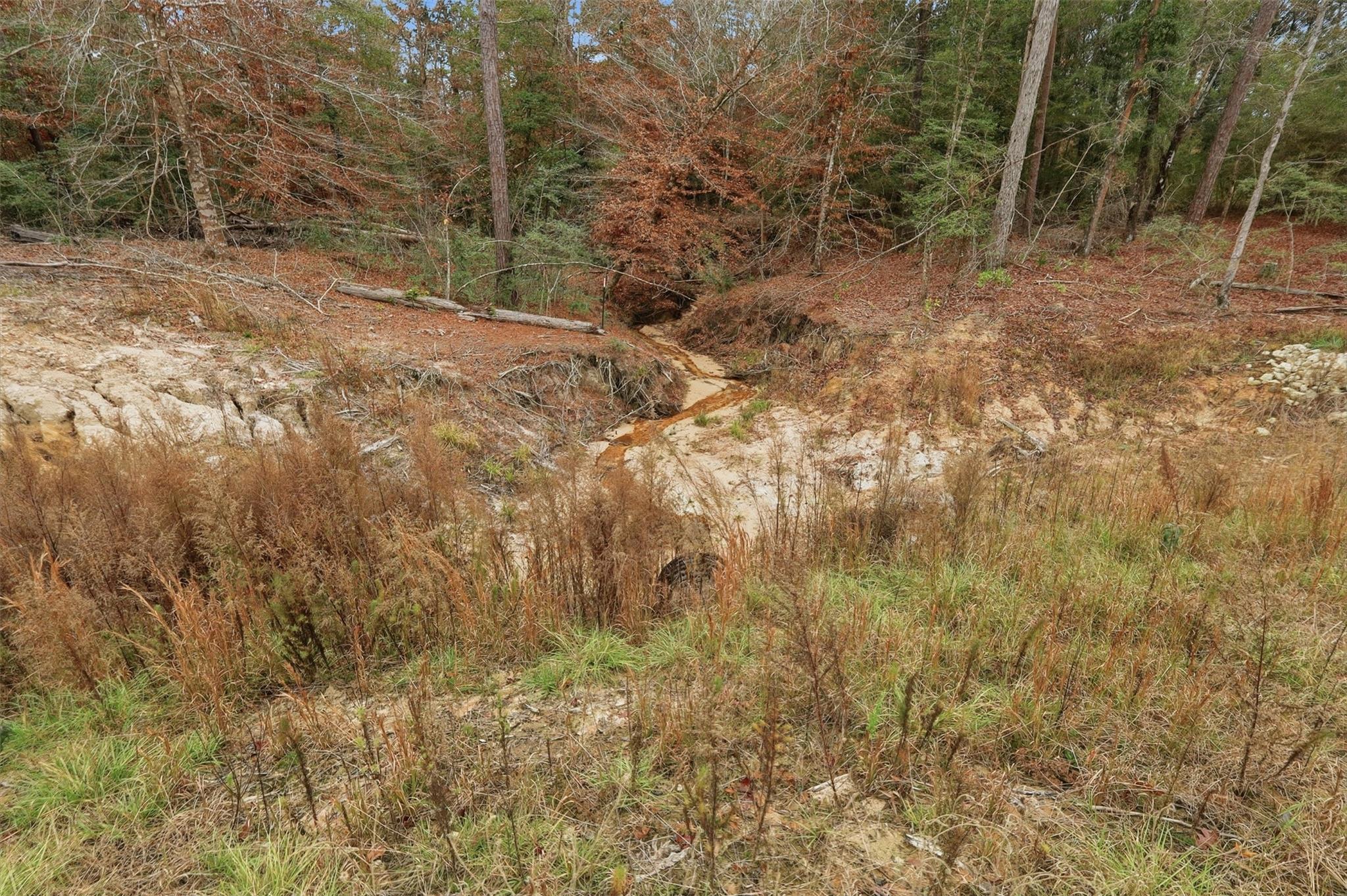 TBD Lady Luck Pid 246444 Lane