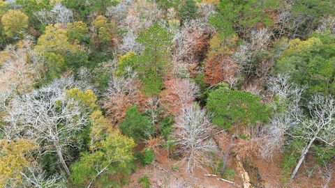 TBD Lady Luck Pid 246444 Lane Livingston TX 77351