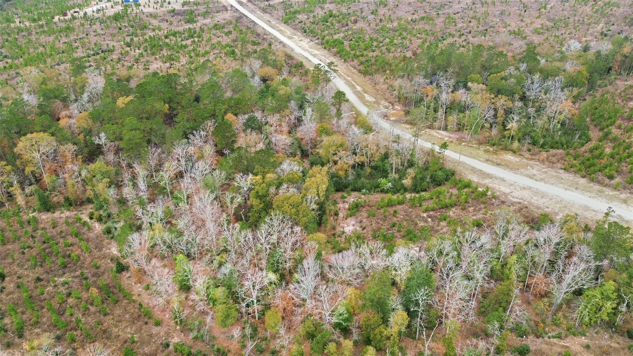 TBD Lady Luck Pid 246444 Lane