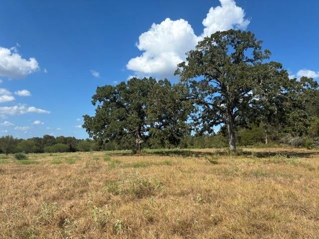 TBD County Road 121