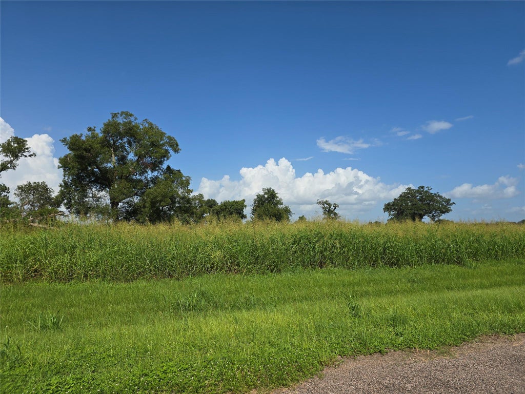 Photo of 17018 Dewberry Lane, Rosharon, TX 77583 (MLS # 39992256)