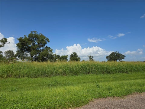 Photo of 17018 Dewberry Lane, Rosharon, TX 77583 (MLS # 39992256)