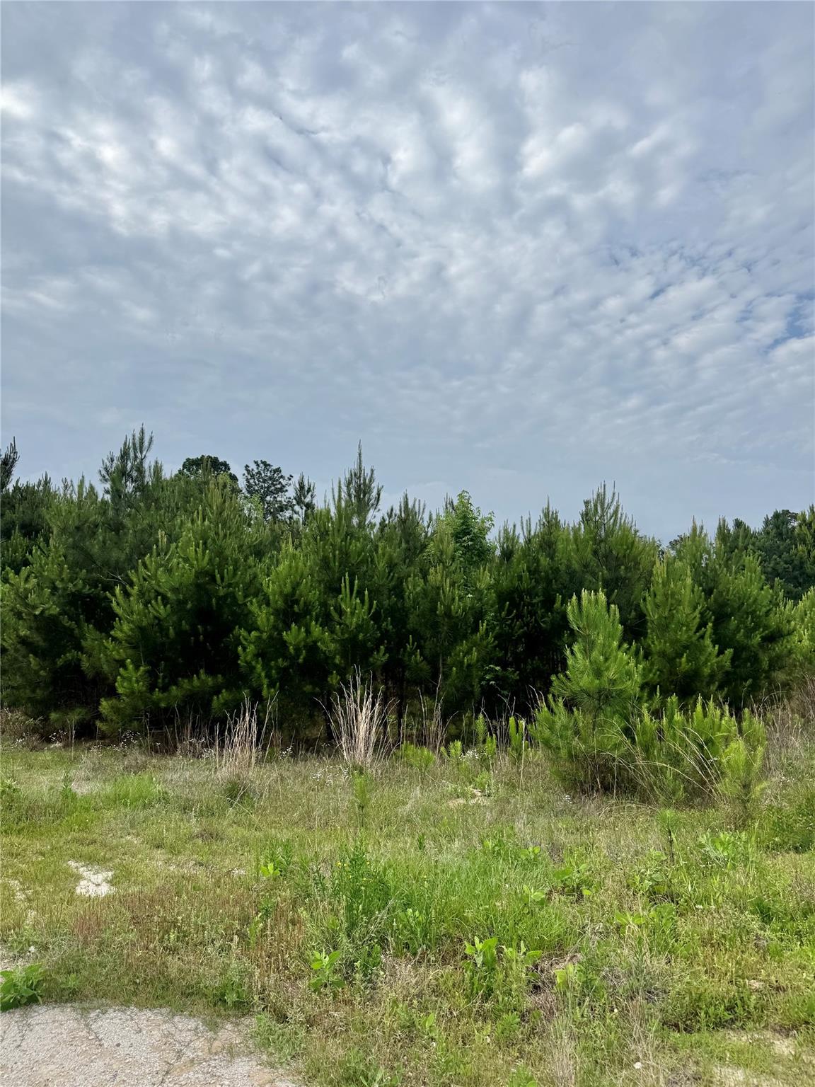 576 County Road 3773