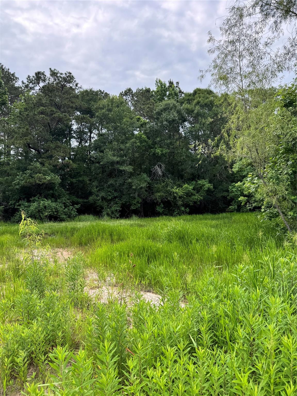 576 County Road 3773