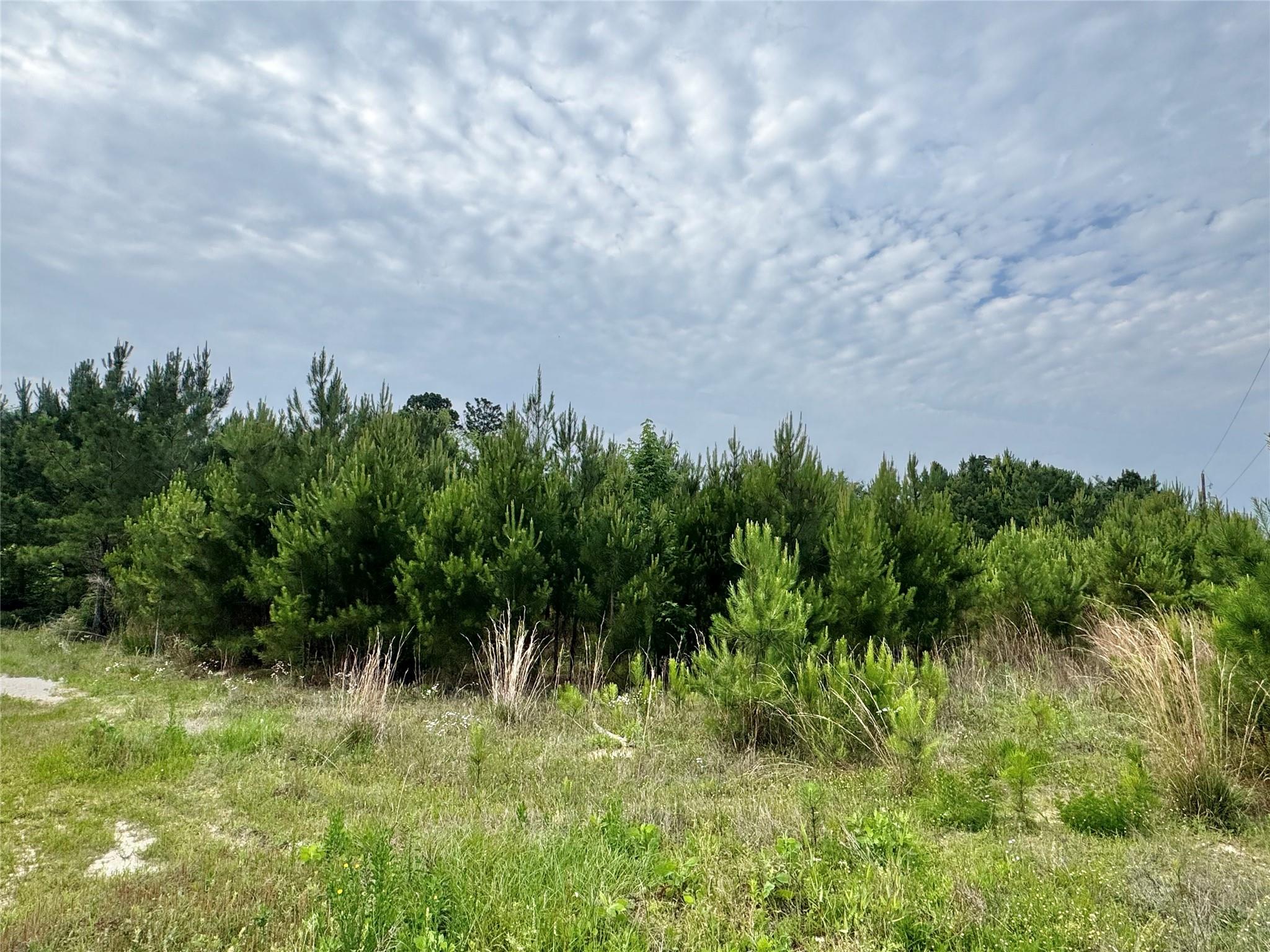 576 County Road 3773