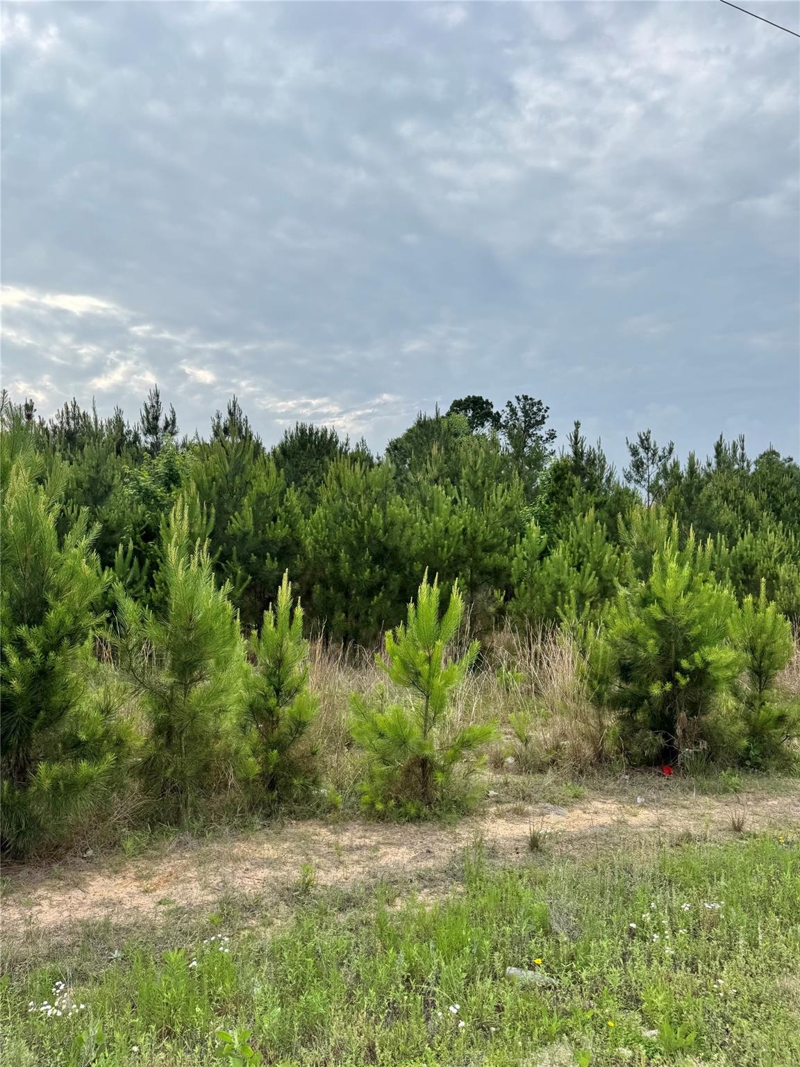 576 County Road 3773