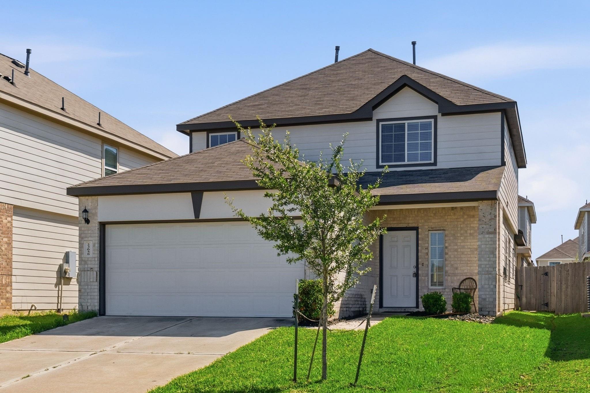 23658 Buttress Root Drive