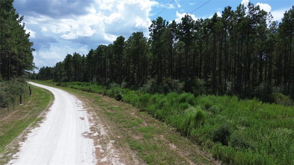 ADDRESS PRIVATE, LOVELADY, TX 75851 - Image 841eb8b83dedcef19ebffa9afbd2b8e3/3348899282