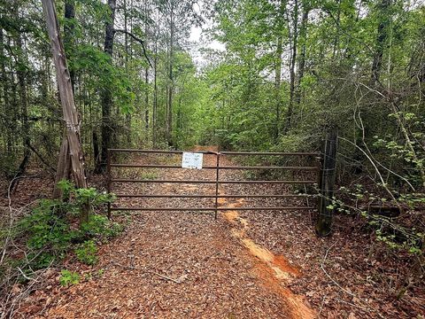 Photo of tbd Peyton Lane, Woodville, TX 75979 (MLS # 80667502)