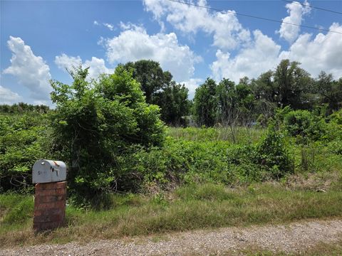 Photo of 5011 County Road 347, Brazoria, TX 77422 (MLS # 87305968)