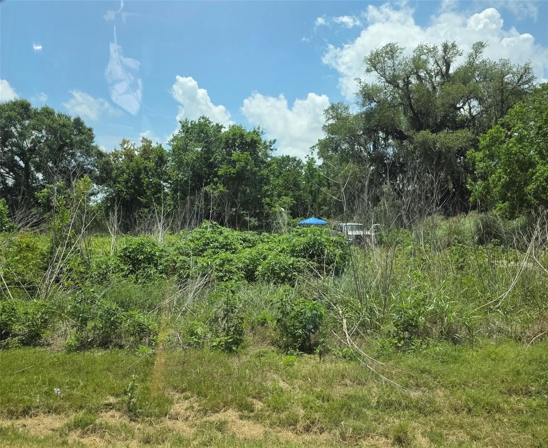 5011 County Road 347