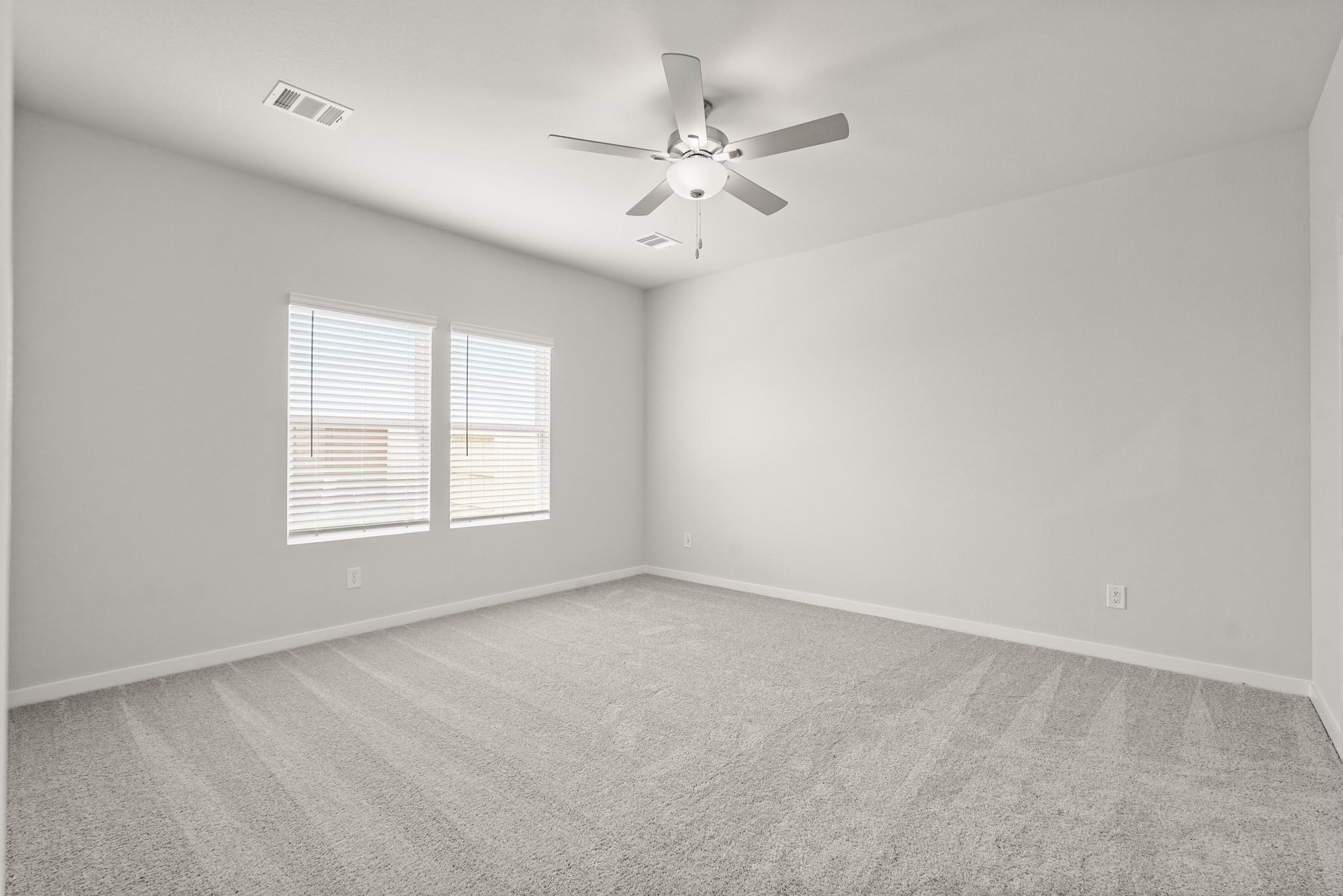 29123 Dandelion Sky Drive