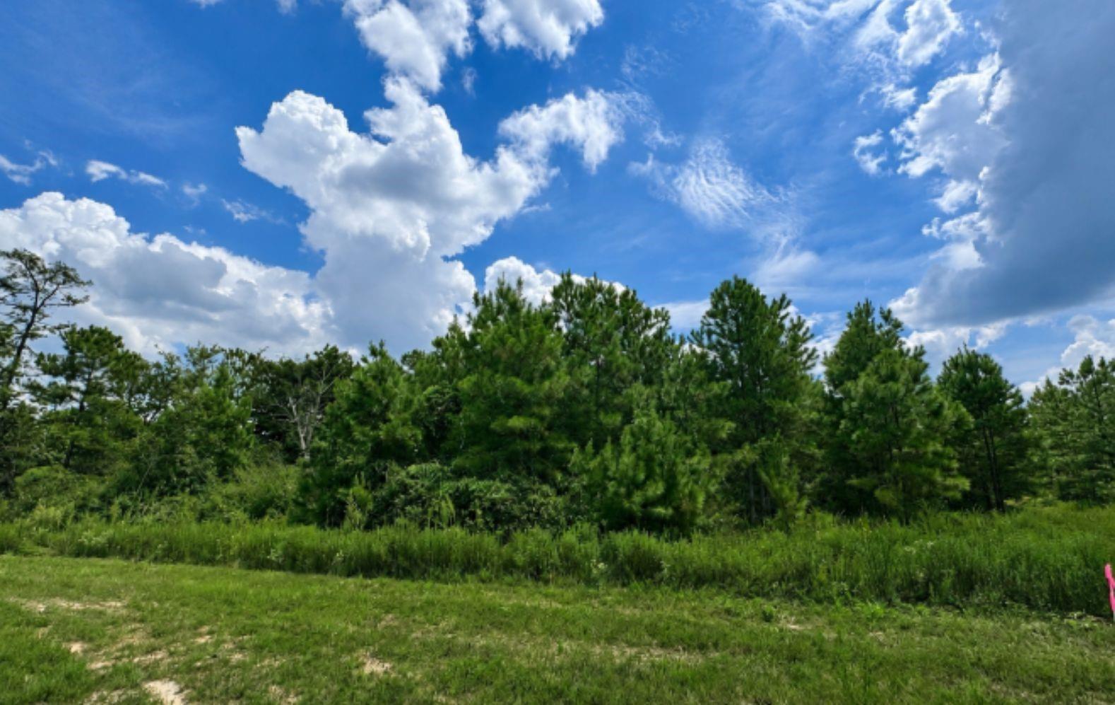 12684 Oak Barrel Road