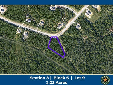 Photo of 12684 Oak Barrel Road, Willis, TX 77378 (MLS # 39540040)