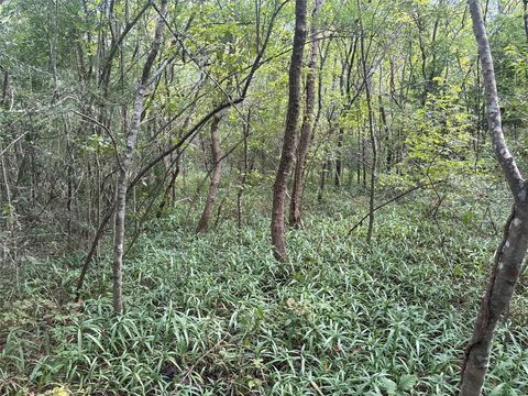 Vacant Land For Sale - 00 Flakes Addition - Lot 4, 5, 6 Of Blk 7<br/> Hitchcock, TX 77563