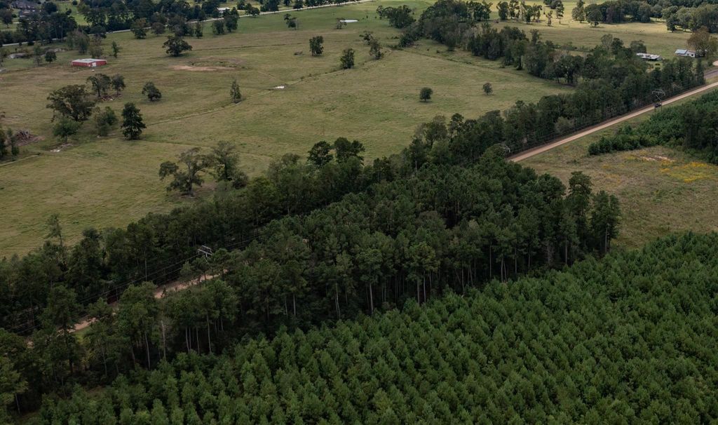 Photo of 1495 County Road 2200, Cleveland, TX 77327 (MLS # 84385664)