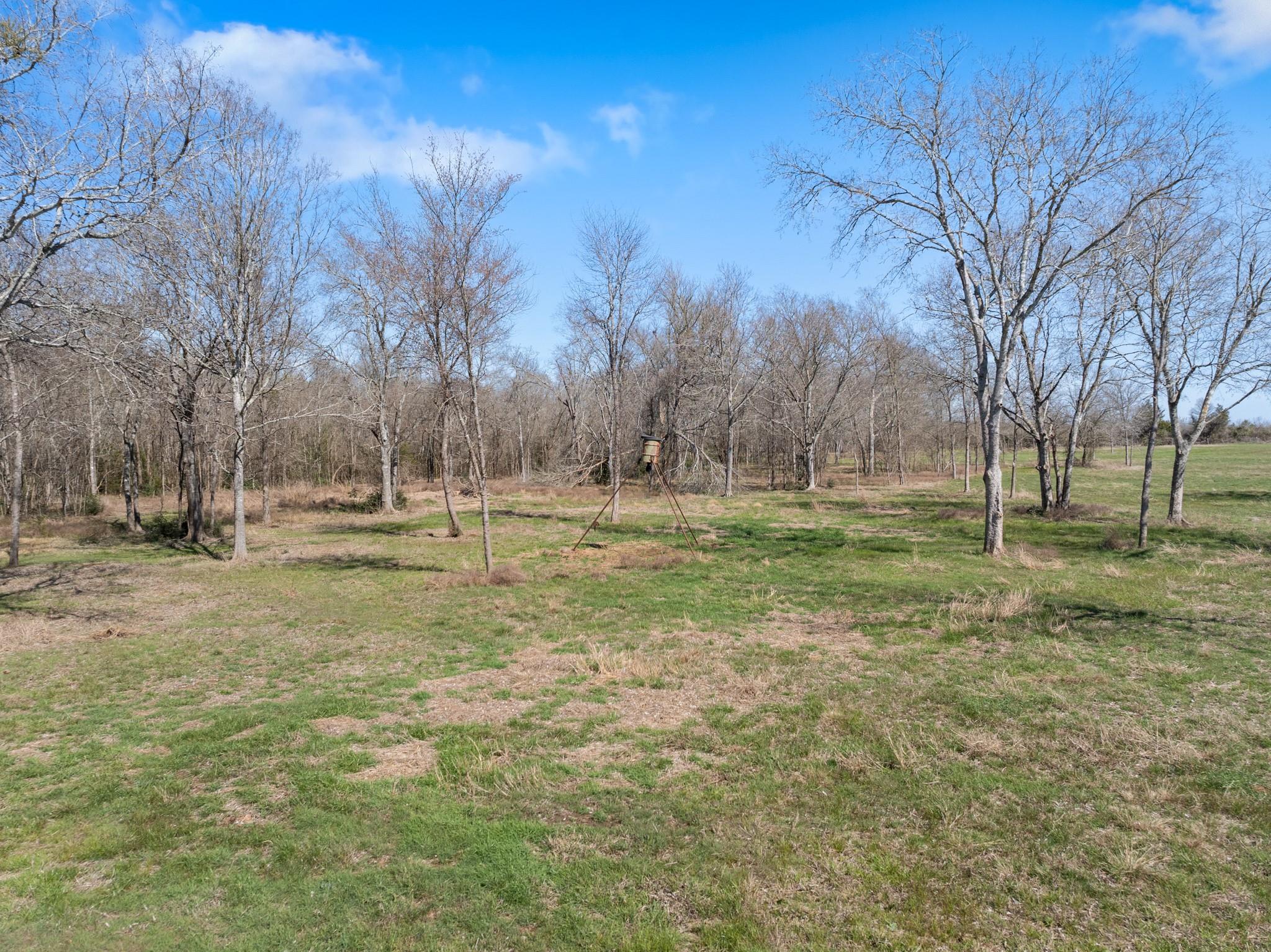20.07 Acres Cr 379