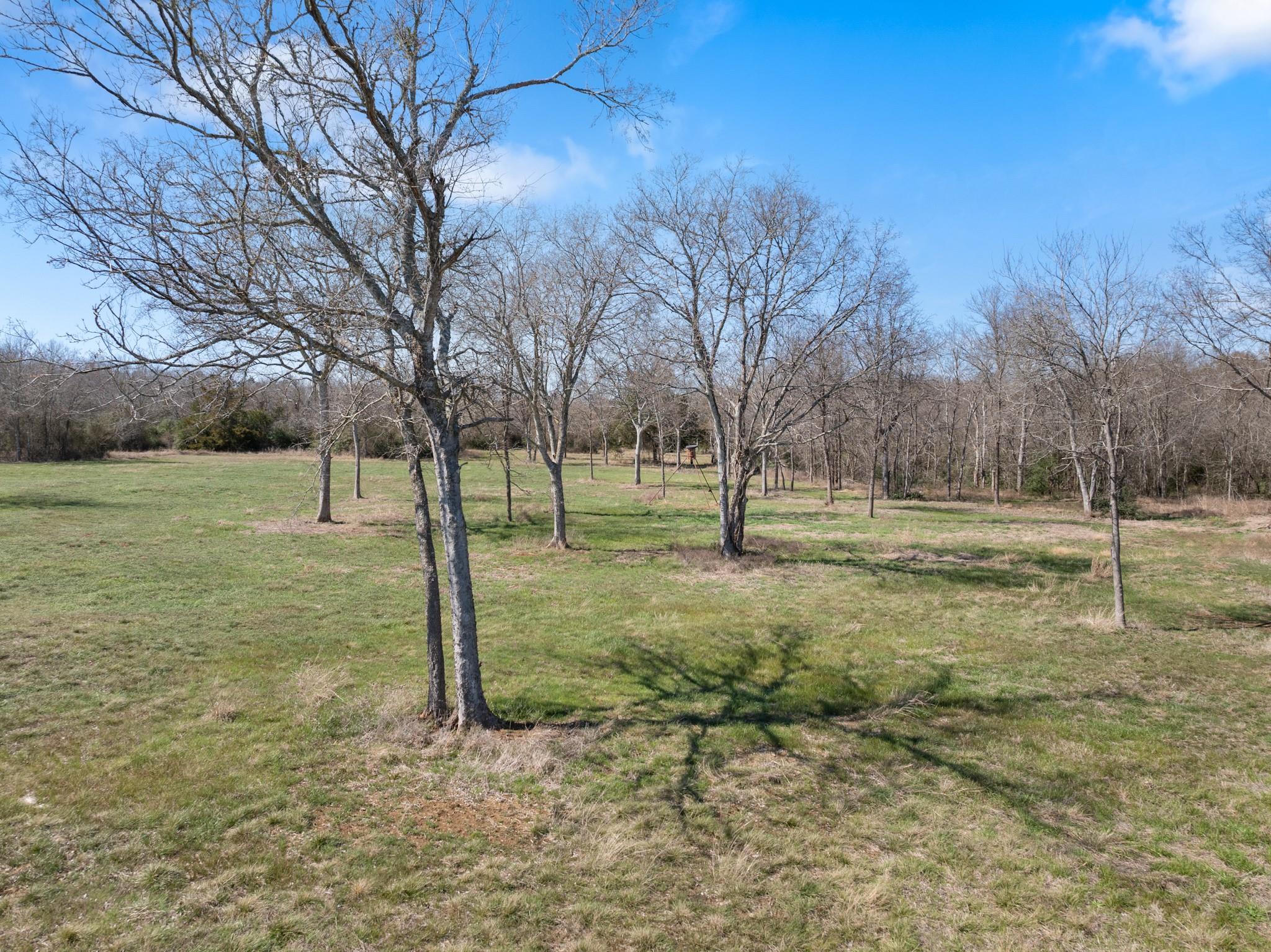 20.07 Acres Cr 379