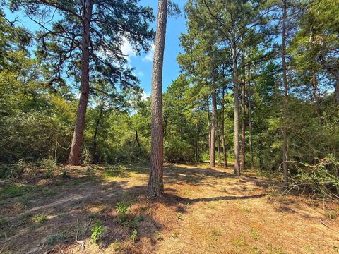 11 ac Cr 292 Buffalo TX 75831