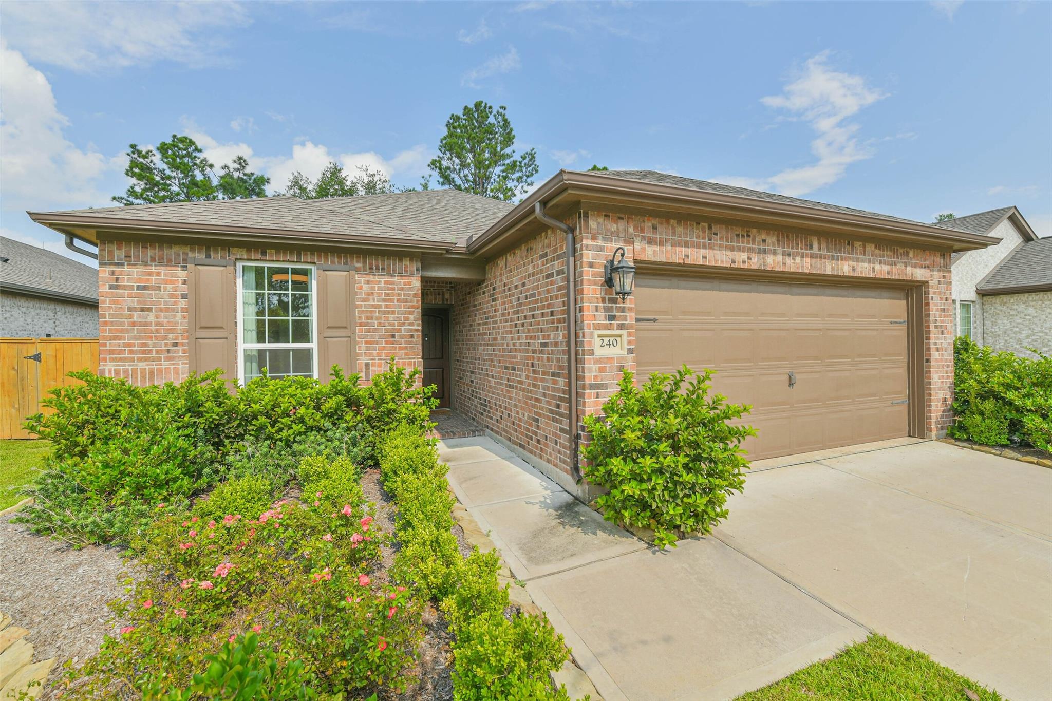 240 W Stargazer Lily Bend