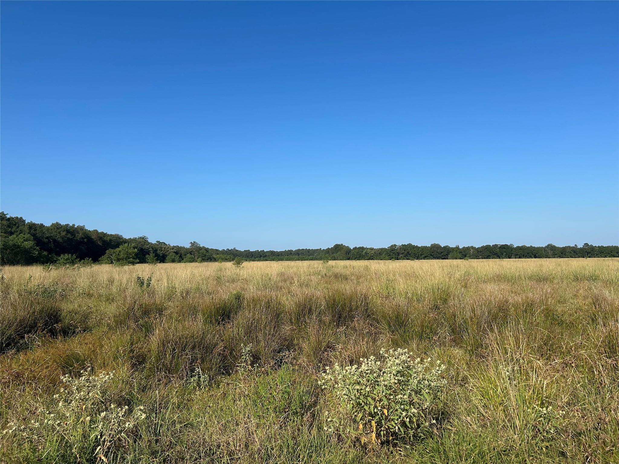 Lot 63 Minnie West Rd Drive