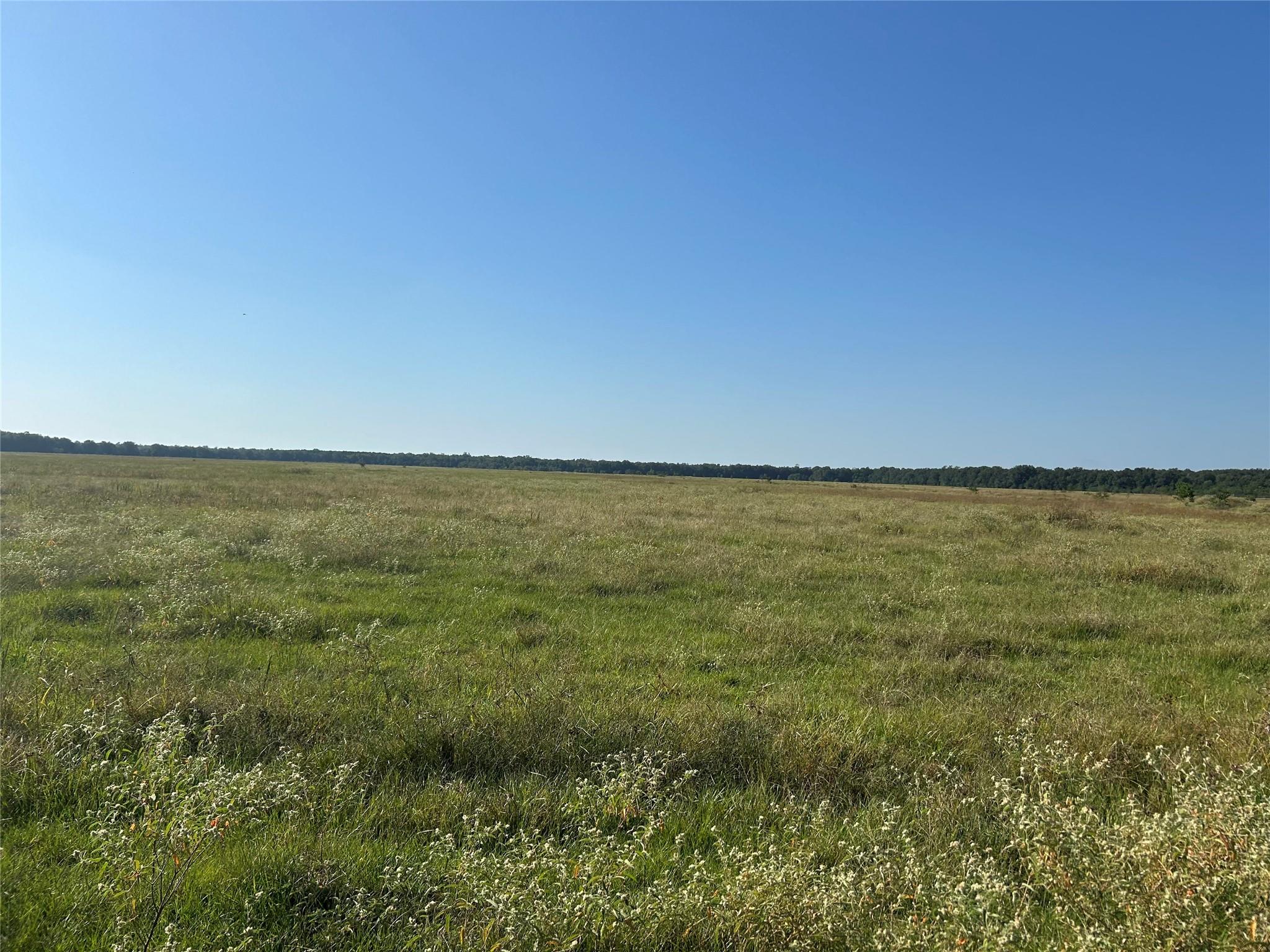 Lot 63 Minnie West Rd Drive