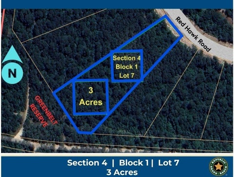 Photo of 15369 Red Hawk Road, Willis, TX 77378 (MLS # 97865448)