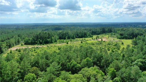Vacant Land For Sale - 2679 Oakdale Loop Loop<br/> Livingston, TX 77351