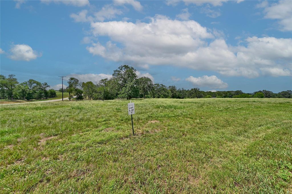 Photo of 180 Sunny Day Dr Dr, Red Rock, TX 78662 (MLS # 48645266)