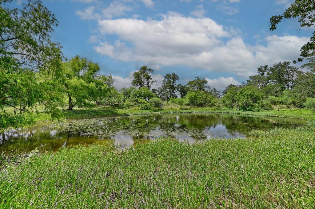 Photo of 180 Sunny Day Dr Dr, Red Rock, TX 78662 (MLS # 48645266)