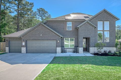 Photo of 176 Leila Lane, New Waverly, TX 77358 (MLS # 54304565)