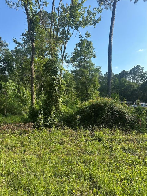 Vacant Land For Sale - TBD Little Lane<br/> Shepherd, TX 77371