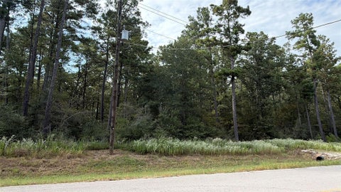 Photo of 359 Dipping Vat Road, Huntsville, TX 77340 (MLS # 29753165)
