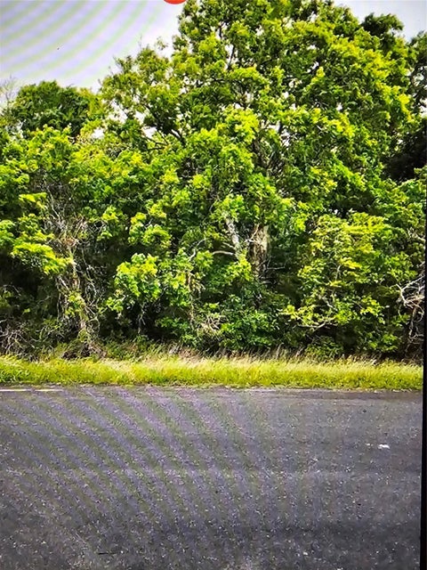 Vacant Land For Sale - County Rd 125<br/> Hungerford, TX 77448