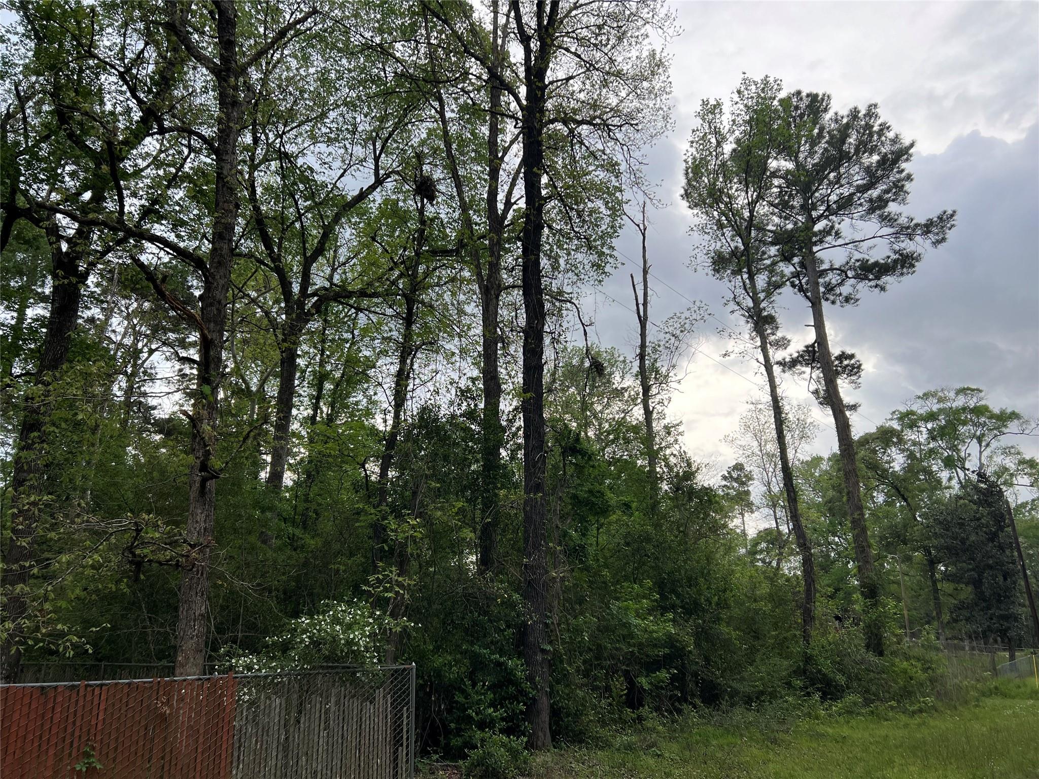 0 White Oak