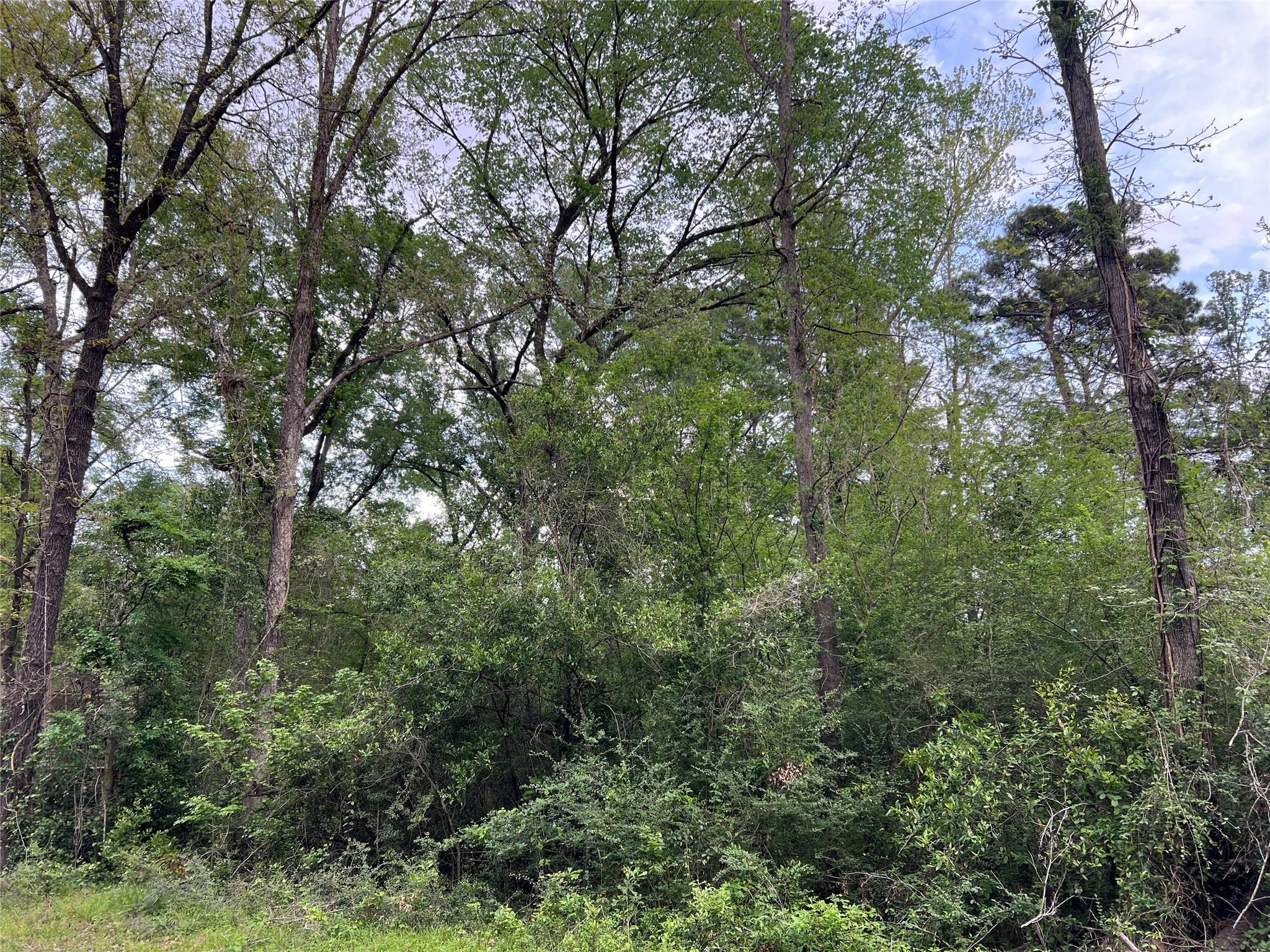 0 White Oak