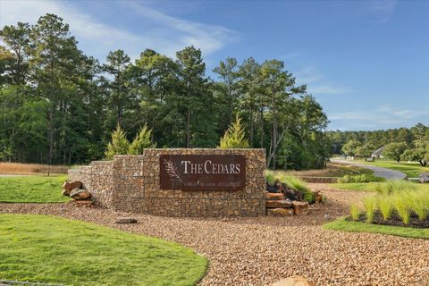 8713 Cedar Meadow Lane Plantersville TX 77363